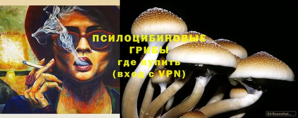 МДПВ Козловка