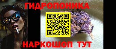 скорость Дубна