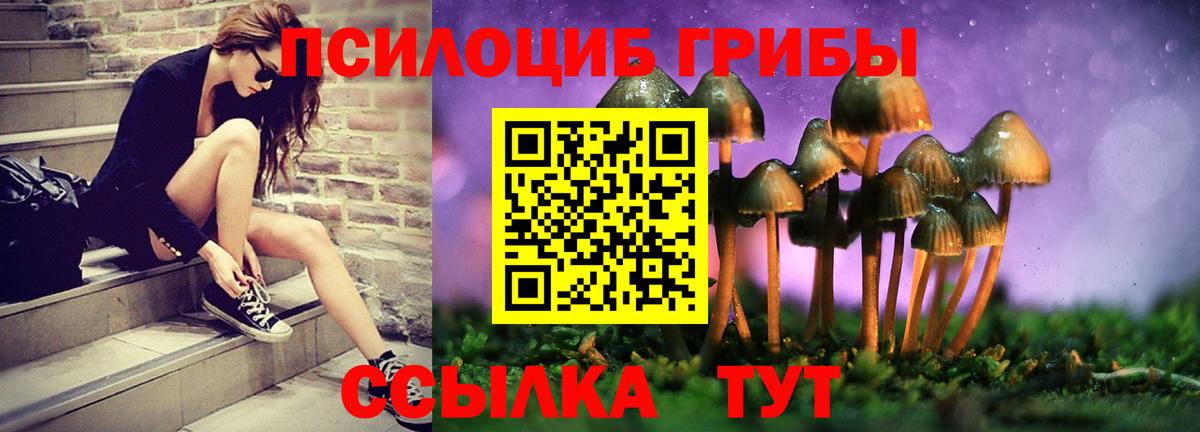 Лесосибирск  Галлюциногенные грибы мухоморы  сколько стоит  Вход с VPN 